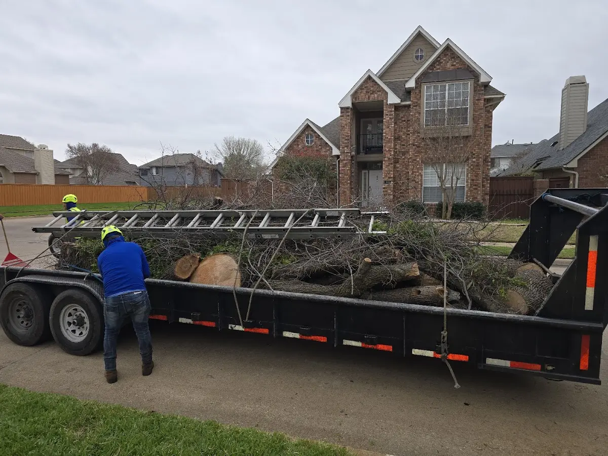 Expert Tree Fertilization with proper safety equipment in Witter
